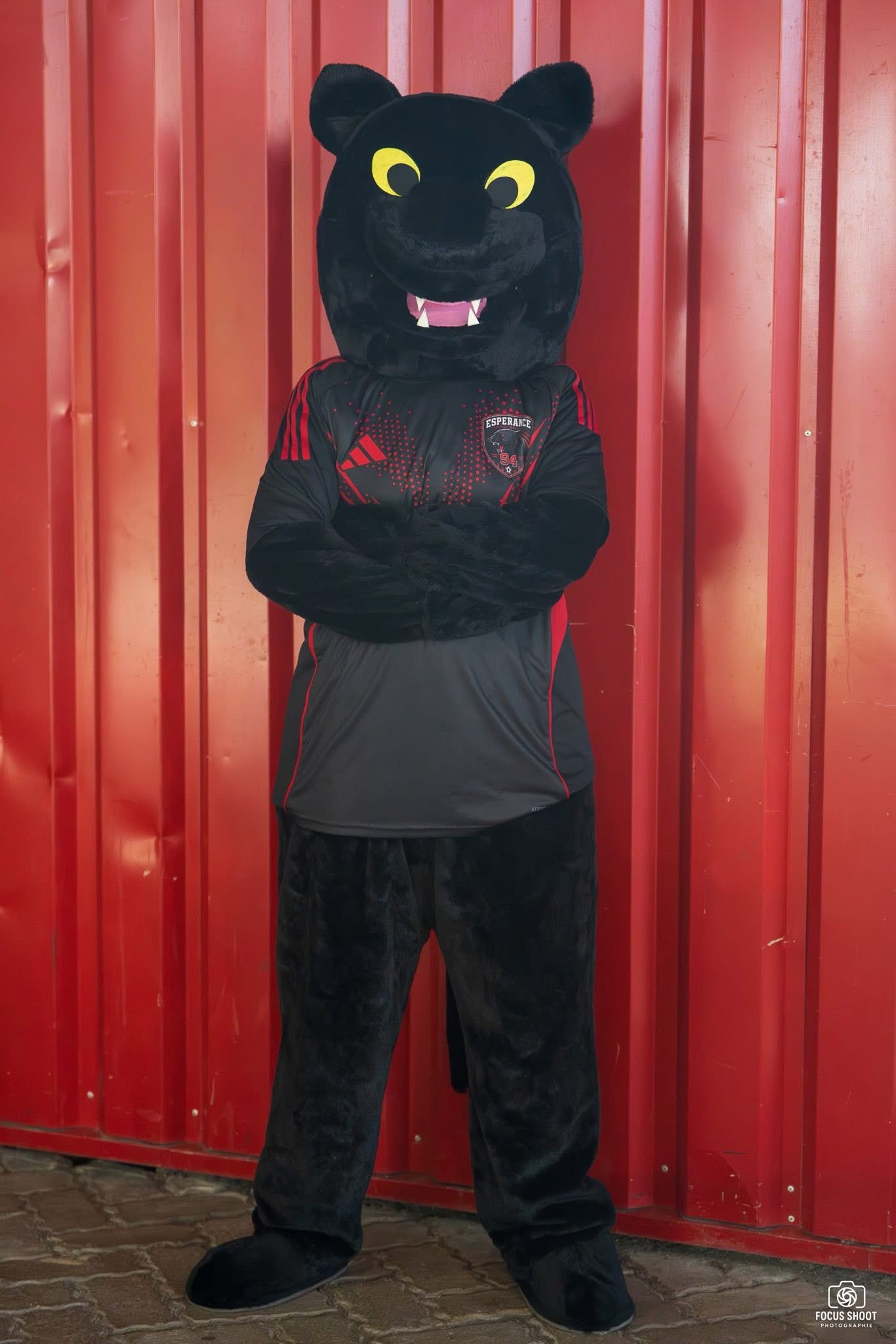 Gallery2 MASCOTTE